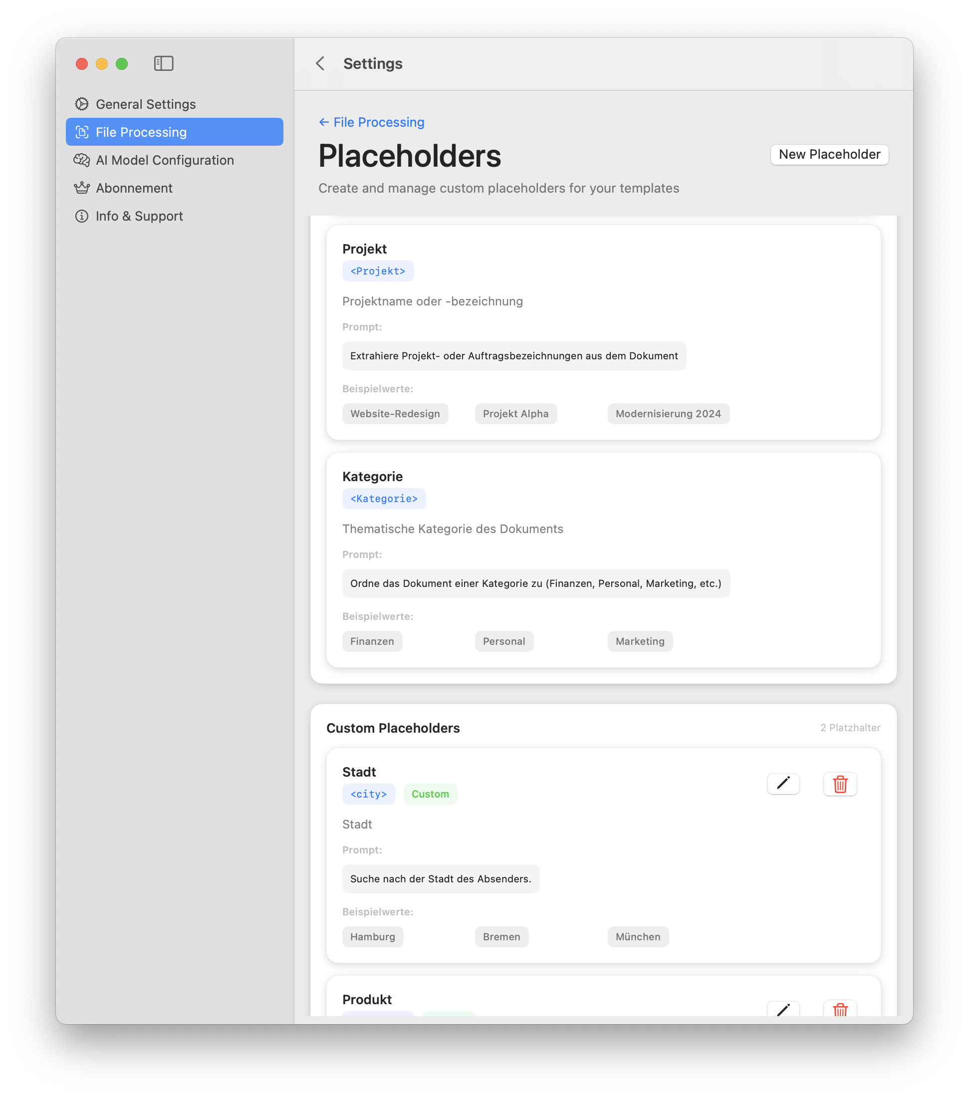 PDF AI Renamer Settings - Placeholders